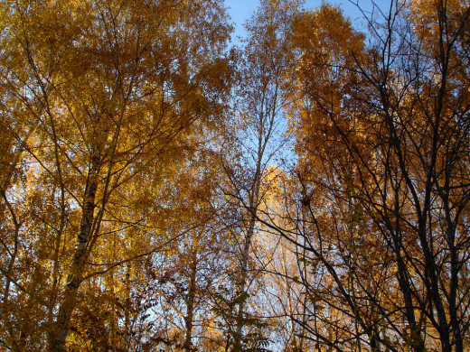 34360 (a): :1024x768